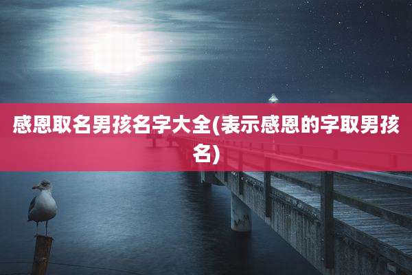 感恩取名男孩名字大全(表示感恩的字取男孩名)
