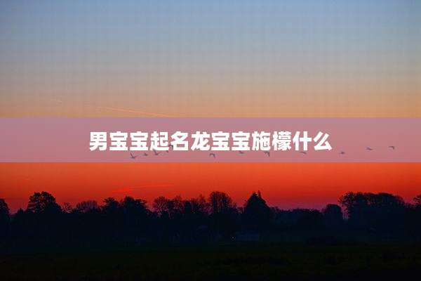 男宝宝起名龙宝宝施檬什么