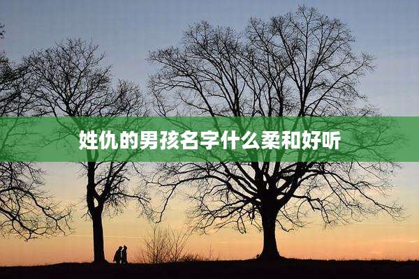 姓仇的男孩名字什么柔和好听