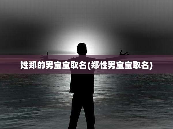 姓郑的男宝宝取名(郑性男宝宝取名)