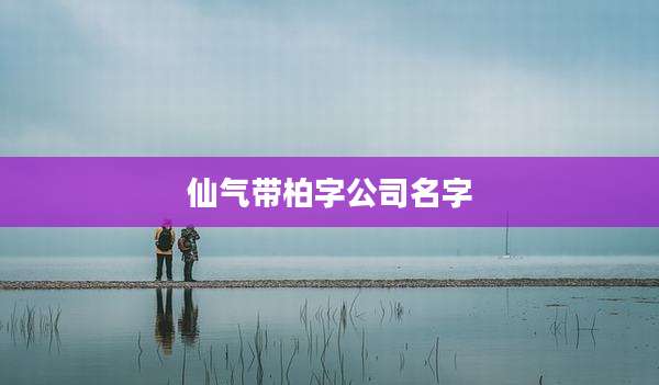 仙气带柏字公司名字