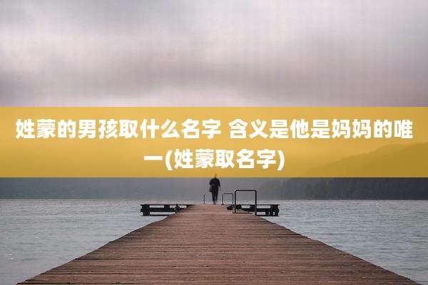 姓蒙的男孩取什么名字 含义是他是妈妈的唯一(姓蒙取名字)