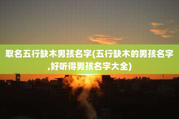 取名五行缺木男孩名字(五行缺木的男孩名字,好听得男孩名字大全)