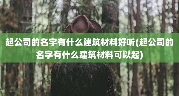 起公司的名字有什么建筑材料好听(起公司的名字有什么建筑材料可以起)