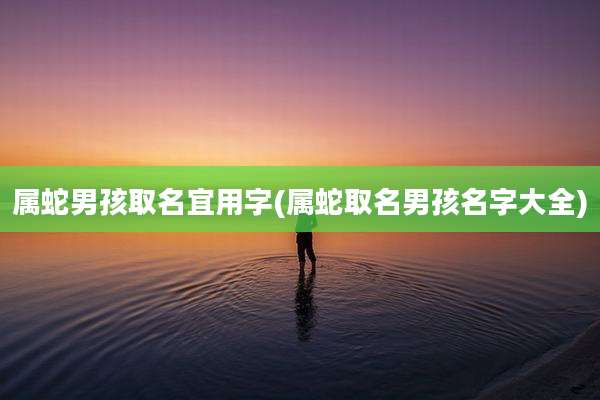 属蛇男孩取名宜用字(属蛇取名男孩名字大全)