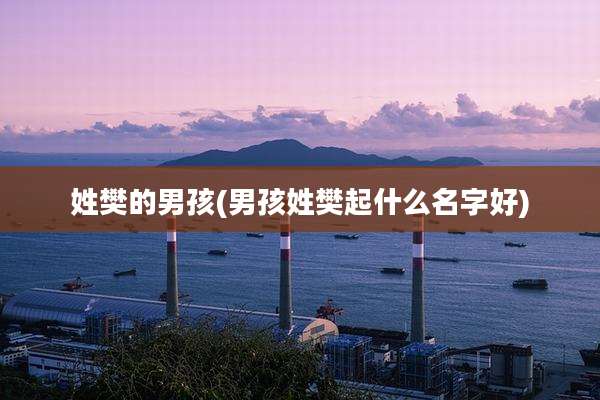 姓樊的男孩(男孩姓樊起什么名字好)