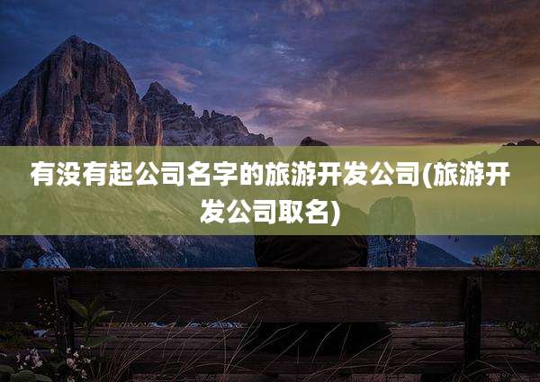 有没有起公司名字的旅游开发公司(旅游开发公司取名)