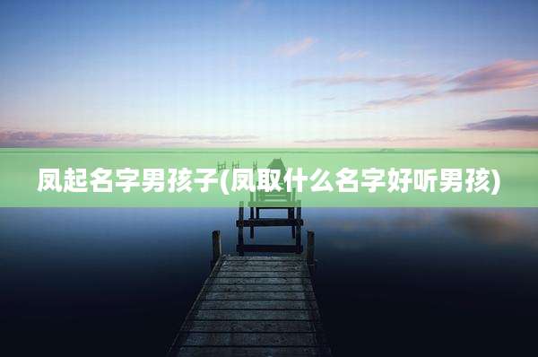 凤起名字男孩子(凤取什么名字好听男孩)