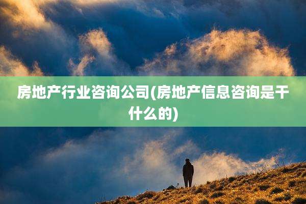 房地产行业咨询公司(房地产信息咨询是干什么的)