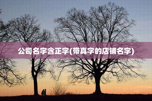 公司名字含正字(带真字的店铺名字)