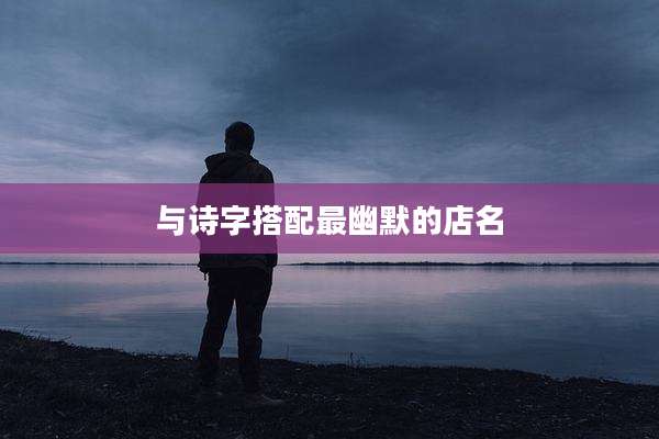 与诗字搭配最幽默的店名