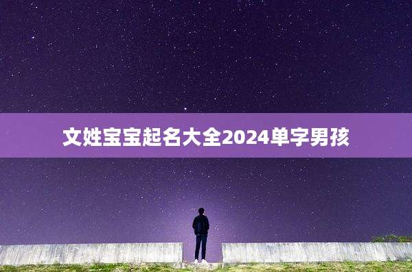 文姓宝宝起名大全2024单字男孩