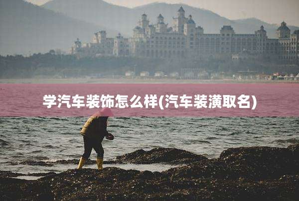 学汽车装饰怎么样(汽车装潢取名)
