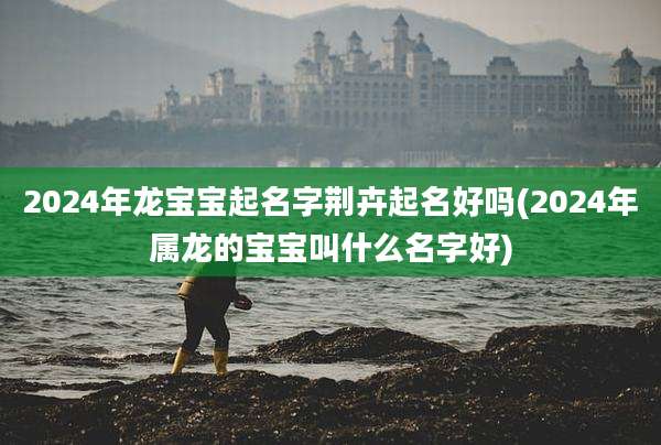 2024年龙宝宝起名字荆卉起名好吗(2024年属龙的宝宝叫什么名字好)