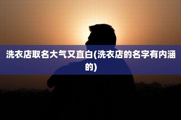 洗衣店取名大气又直白(洗衣店的名字有内涵的)