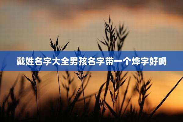 戴姓名字大全男孩名字带一个烨字好吗