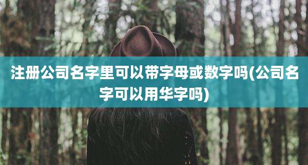 注册公司名字里可以带字母或数字吗(公司名字可以用华字吗)