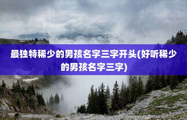 最独特稀少的男孩名字三字开头(好听稀少的男孩名字三字)