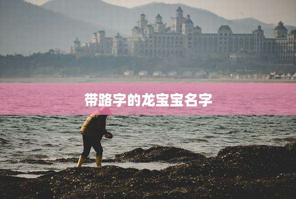 带路字的龙宝宝名字