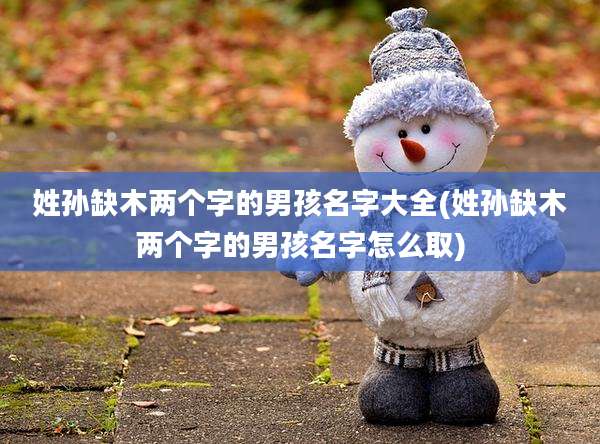姓孙缺木两个字的男孩名字大全(姓孙缺木两个字的男孩名字怎么取)