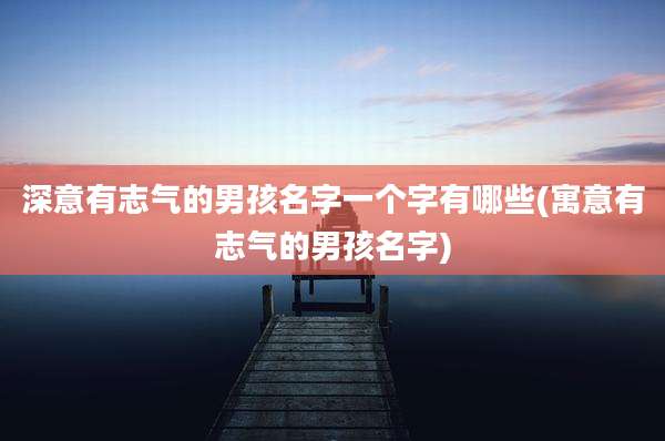深意有志气的男孩名字一个字有哪些(寓意有志气的男孩名字)