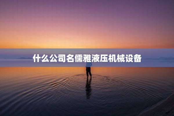 什么公司名儒雅液压机械设备