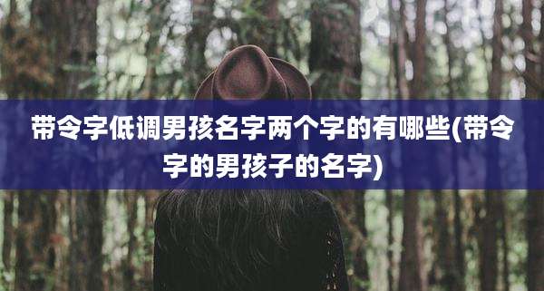 带令字低调男孩名字两个字的有哪些(带令字的男孩子的名字)
