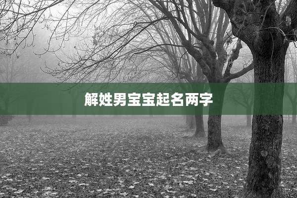 解姓男宝宝起名两字