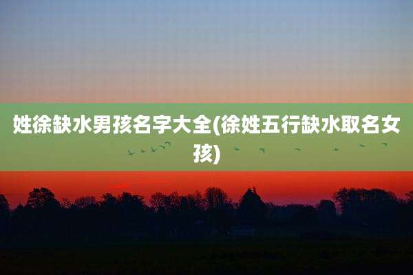 姓徐缺水男孩名字大全(徐姓五行缺水取名女孩)