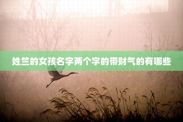 姓竺的女孩名字两个字的带财气的有哪些