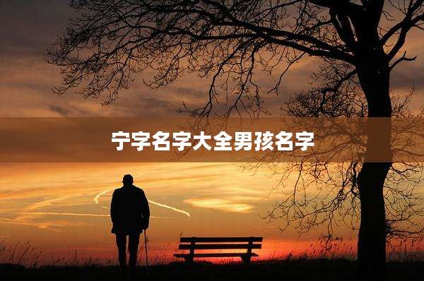 宁字名字大全男孩名字