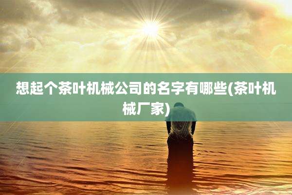 想起个茶叶机械公司的名字有哪些(茶叶机械厂家)