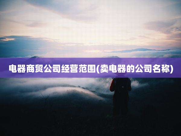 电器商贸公司经营范围(卖电器的公司名称)