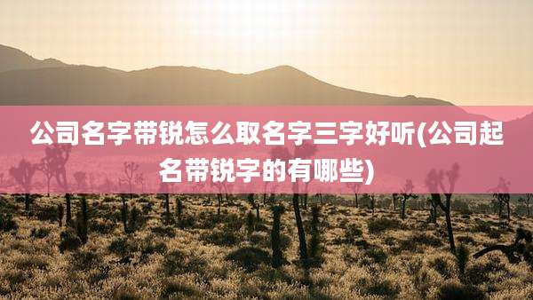 公司名字带锐怎么取名字三字好听(公司起名带锐字的有哪些)