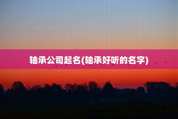 轴承公司起名(轴承好听的名字)