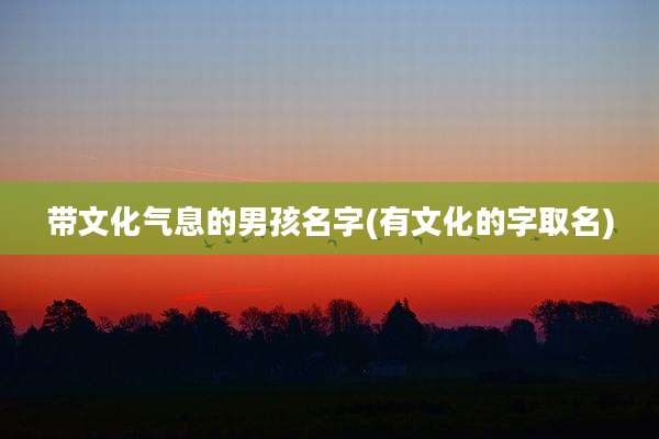 带文化气息的男孩名字(有文化的字取名)