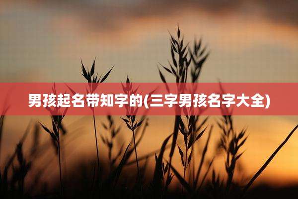 男孩起名带知字的(三字男孩名字大全)