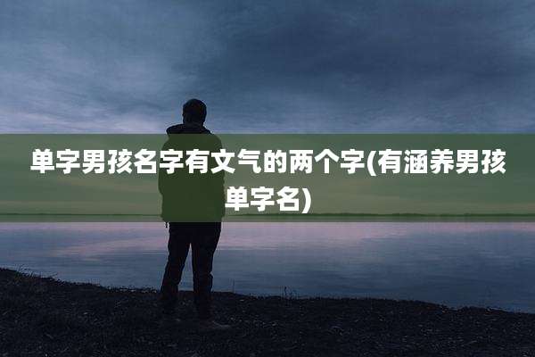 单字男孩名字有文气的两个字(有涵养男孩单字名)