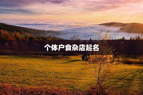 个体户食杂店起名
