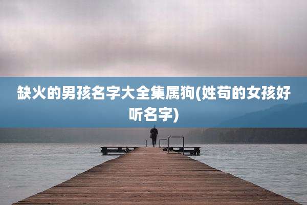 缺火的男孩名字大全集属狗(姓苟的女孩好听名字)