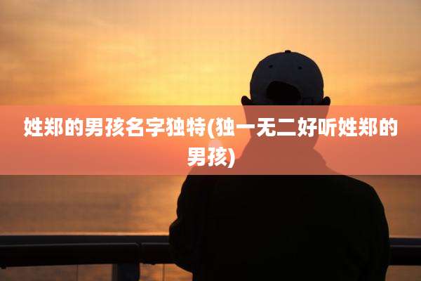 姓郑的男孩名字独特(独一无二好听姓郑的男孩)