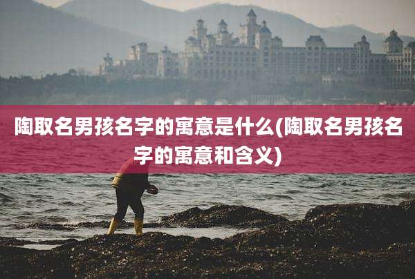 陶取名男孩名字的寓意是什么(陶取名男孩名字的寓意和含义)