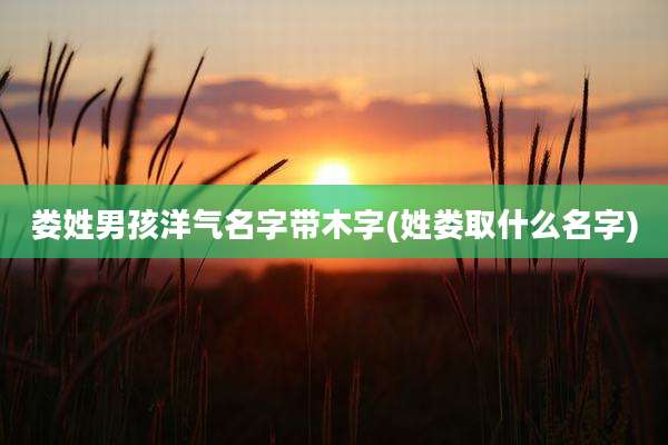 娄姓男孩洋气名字带木字(姓娄取什么名字)
