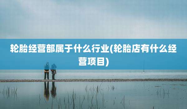 轮胎经营部属于什么行业(轮胎店有什么经营项目)
