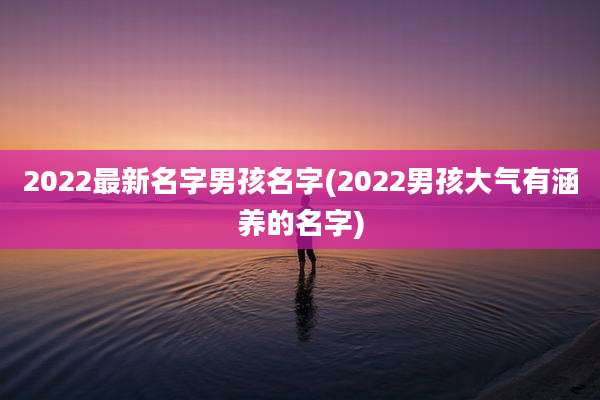 2022最新名字男孩名字(2022男孩大气有涵养的名字)