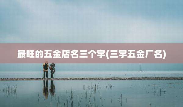 最旺的五金店名三个字(三字五金厂名)