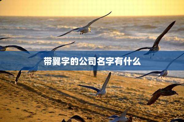 带翼字的公司名字有什么