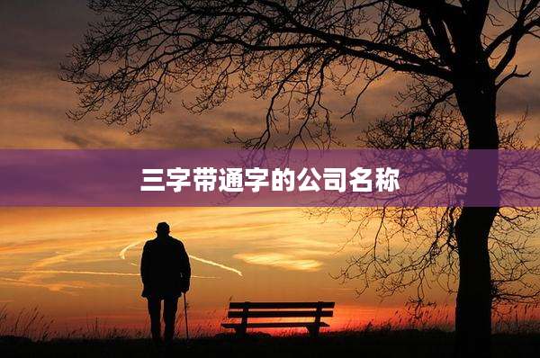 三字带通字的公司名称