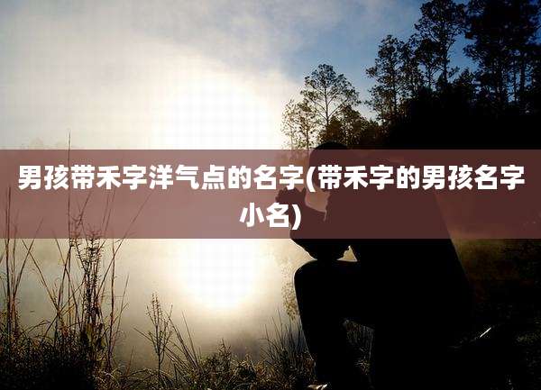 男孩带禾字洋气点的名字(带禾字的男孩名字小名)