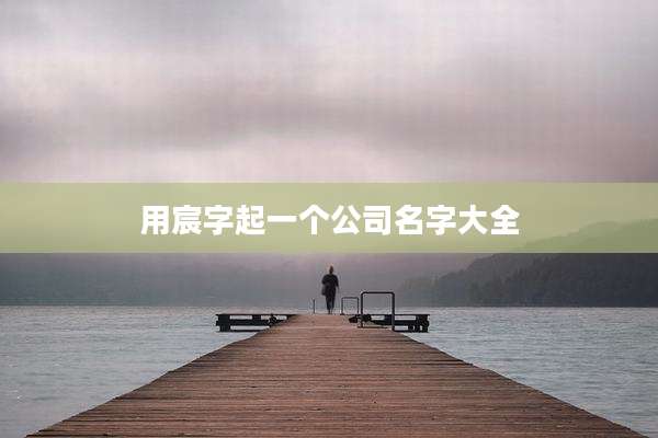 用宸字起一个公司名字大全